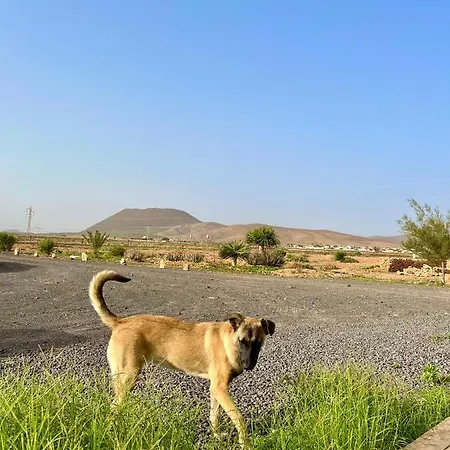 Nyaraló Tranquila En El Centro De Fuerteventura *