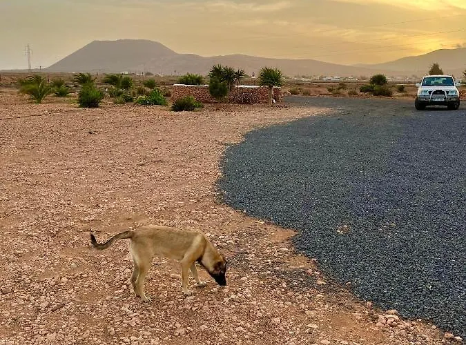 Tranquila En El Centro De Fuerteventura 펜션