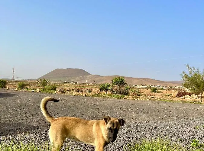 펜션 Tranquila En El Centro De Fuerteventura *